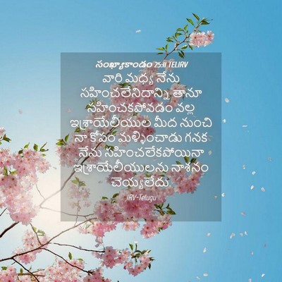 Picture 04 - సంఖ్యాకాండం 25:11 TELIRV - వారి మధ్య నేను - Bible Verse Picture