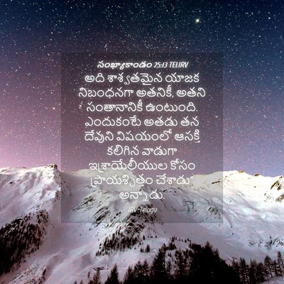 Picture 04 - సంఖ్యాకాండం 25:13 TELIRV - అది శాశ్వతమైన - Bible Verse Picture