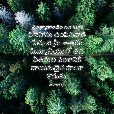 Picture 04 - సంఖ్యాకాండం 25:14 TELIRV - ఫినెహాసు - Bible Verse Picture