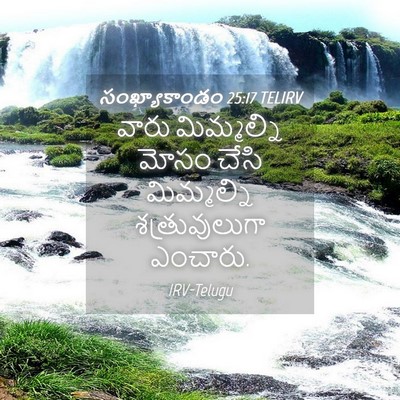 Picture 04 - సంఖ్యాకాండం 25:17 TELIRV - వారు మిమ్మల్ని - Bible Verse Picture