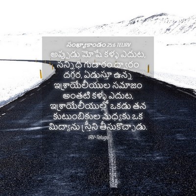 Picture 04 - సంఖ్యాకాండం 25:6 TELIRV - అప్పుడు మోషే కళ్ళ - Bible Verse Picture