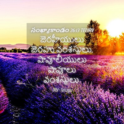 Picture 04 - సంఖ్యాకాండం 26:13 TELIRV - జెరహీయులు జెరహు - Bible Verse Picture