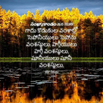 Picture 04 - సంఖ్యాకాండం 26:15 TELIRV - గాదు కొడుకుల - Bible Verse Picture