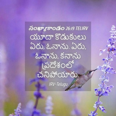 Picture 04 - సంఖ్యాకాండం 26:19 TELIRV - యూదా కొడుకులు ఏరు, - Bible Verse Picture