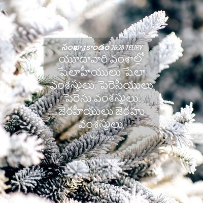 Picture 04 - సంఖ్యాకాండం 26:20 TELIRV - యూదావారి వంశాల్లో - Bible Verse Picture
