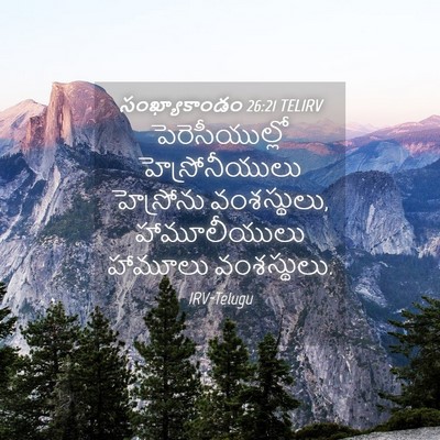 Picture 04 - సంఖ్యాకాండం 26:21 TELIRV - పెరెసీయుల్లో - Bible Verse Picture