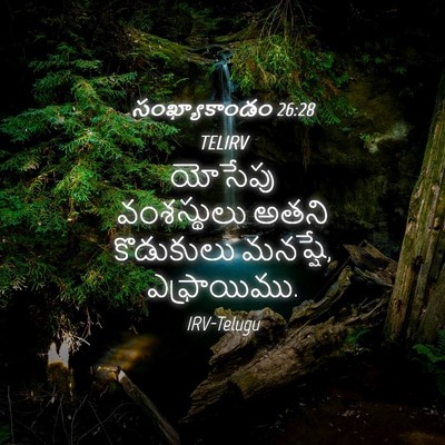 Picture 04 - సంఖ్యాకాండం 26:28 TELIRV - యోసేపు వంశస్థులు - Bible Verse Picture