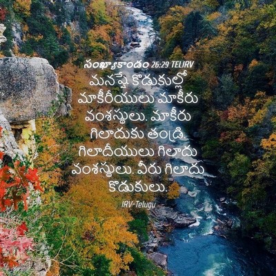 Picture 04 - సంఖ్యాకాండం 26:29 TELIRV - మనష్షే కొడుకుల్లో - Bible Verse Picture