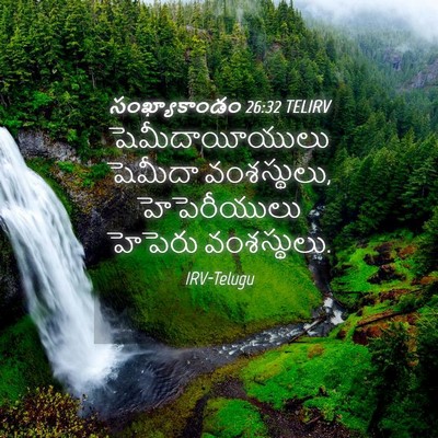 Picture 04 - సంఖ్యాకాండం 26:32 TELIRV - షెమీదాయీయులు - Bible Verse Picture