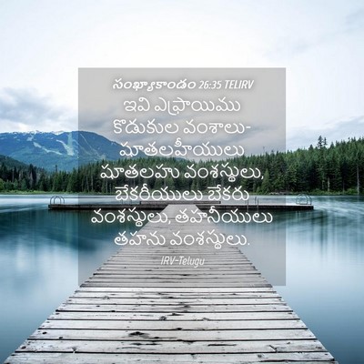 Picture 04 - సంఖ్యాకాండం 26:35 TELIRV - ఇవి ఎఫ్రాయిము - Bible Verse Picture