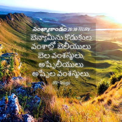 Picture 04 - సంఖ్యాకాండం 26:38 TELIRV - బెన్యామీను - Bible Verse Picture