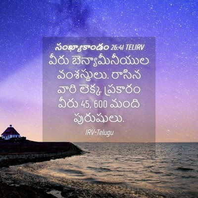 Picture 04 - సంఖ్యాకాండం 26:41 TELIRV - వీరు - Bible Verse Picture