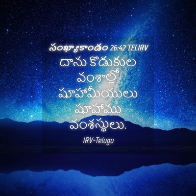 Picture 04 - సంఖ్యాకాండం 26:42 TELIRV - దాను కొడుకుల - Bible Verse Picture