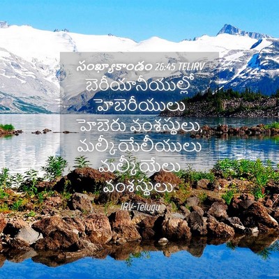 Picture 04 - సంఖ్యాకాండం 26:45 TELIRV - బెరీయానీయుల్లో - Bible Verse Picture