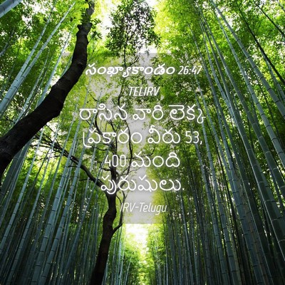Picture 04 - సంఖ్యాకాండం 26:47 TELIRV - రాసిన వారి లెక్క - Bible Verse Picture
