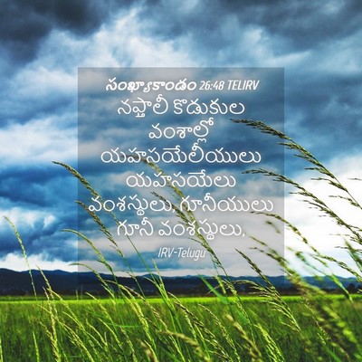 Picture 04 - సంఖ్యాకాండం 26:48 TELIRV - నఫ్తాలీ కొడుకుల - Bible Verse Picture