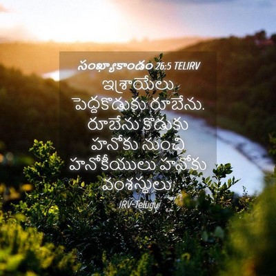 Picture 04 - సంఖ్యాకాండం 26:5 TELIRV - ఇశ్రాయేలు - Bible Verse Picture