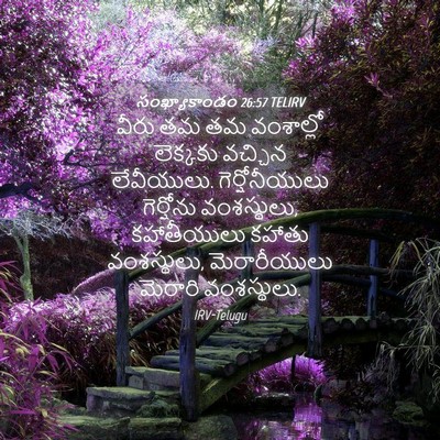 Picture 04 - సంఖ్యాకాండం 26:57 TELIRV - వీరు తమ తమ - Bible Verse Picture