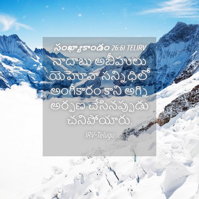 Picture 04 - సంఖ్యాకాండం 26:61 TELIRV - నాదాబు అబీహులు - Bible Verse Picture