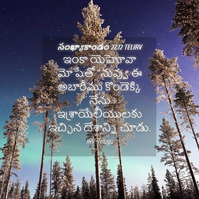 Picture 04 - సంఖ్యాకాండం 27:12 TELIRV - ఇంకా యెహోవా - Bible Verse Picture