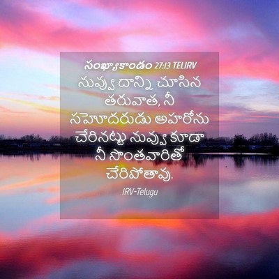 Picture 04 - సంఖ్యాకాండం 27:13 TELIRV - నువ్వు దాన్ని - Bible Verse Picture