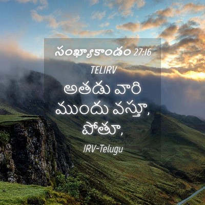 Picture 04 - సంఖ్యాకాండం 27:16 TELIRV - అతడు వారి ముందు - Bible Verse Picture