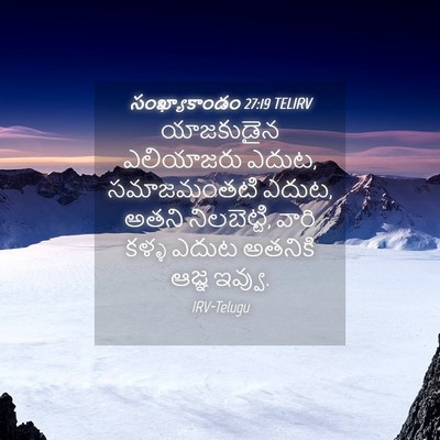 Picture 04 - సంఖ్యాకాండం 27:19 TELIRV - యాజకుడైన ఎలియాజరు - Bible Verse Picture