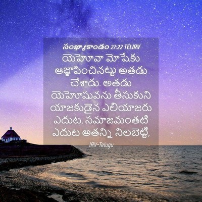 Picture 04 - సంఖ్యాకాండం 27:22 TELIRV - యెహోవా మోషేకు - Bible Verse Picture