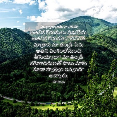 Picture 04 - సంఖ్యాకాండం 27:4 TELIRV - అతనికి కొడుకులు - Bible Verse Picture