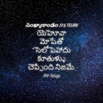 Picture 04 - సంఖ్యాకాండం 27:6 TELIRV - యెహోవా మోషేతో - Bible Verse Picture