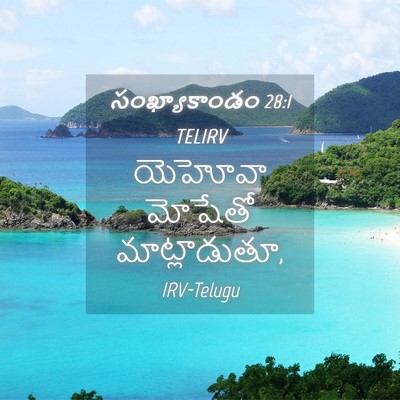 Picture 04 - సంఖ్యాకాండం 28:1 TELIRV - యెహోవా మోషేతో - Bible Verse Picture