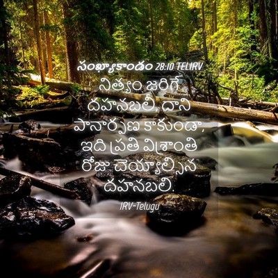 Picture 04 - సంఖ్యాకాండం 28:10 TELIRV - నిత్యం జరిగే - Bible Verse Picture