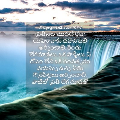 Picture 04 - సంఖ్యాకాండం 28:11 TELIRV - ప్రతినెల మొదటి - Bible Verse Picture