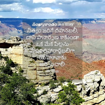 Picture 04 - సంఖ్యాకాండం 28:15 TELIRV - నిత్యం జరిగే - Bible Verse Picture