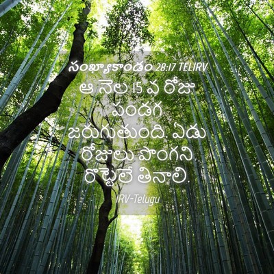 Picture 04 - సంఖ్యాకాండం 28:17 TELIRV - ఆ నెల 15 వ రోజు పండగ - Bible Verse Picture