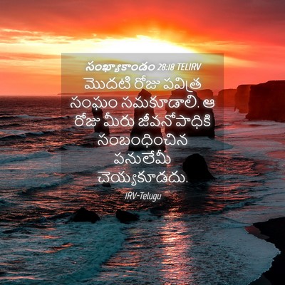 Picture 04 - సంఖ్యాకాండం 28:18 TELIRV - మొదటి రోజు పవిత్ర - Bible Verse Picture