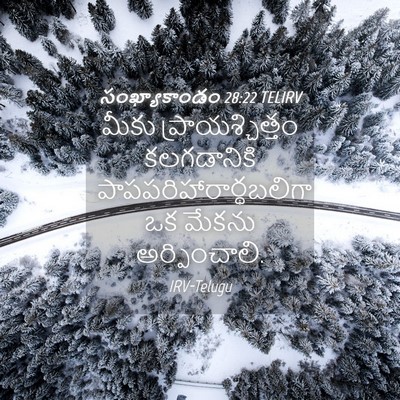Picture 04 - సంఖ్యాకాండం 28:22 TELIRV - మీకు - Bible Verse Picture