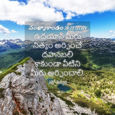 Picture 04 - సంఖ్యాకాండం 28:23 TELIRV - ఉదయాన మీరు నిత్యం - Bible Verse Picture