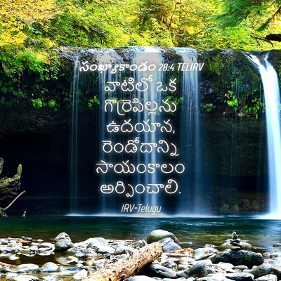 Picture 04 - సంఖ్యాకాండం 28:4 TELIRV - వాటిలో ఒక - Bible Verse Picture