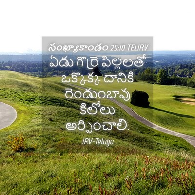 Picture 04 - సంఖ్యాకాండం 29:10 TELIRV - ఏడు గొర్రె - Bible Verse Picture