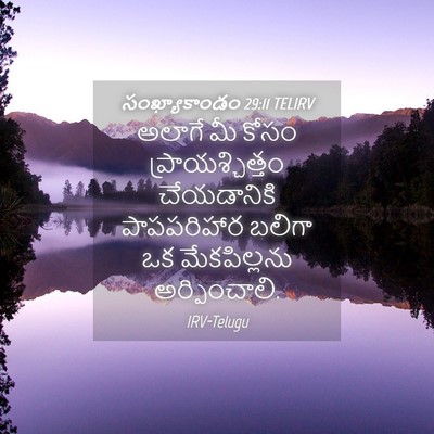 Picture 04 - సంఖ్యాకాండం 29:11 TELIRV - అలాగే మీ కోసం - Bible Verse Picture