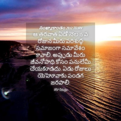 Picture 04 - సంఖ్యాకాండం 29:12 TELIRV - ఆ తరవాత ఏడో నెల 15 వ - Bible Verse Picture