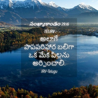Picture 04 - సంఖ్యాకాండం 29:16 TELIRV - అలాగే పాపపరిహార - Bible Verse Picture