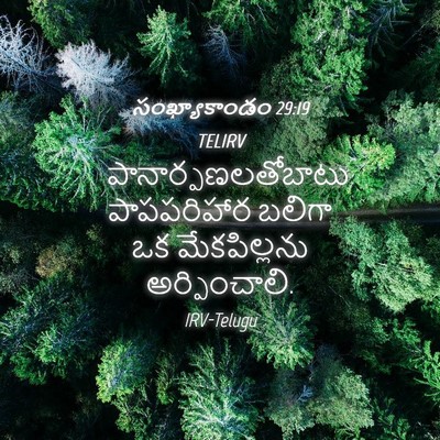 Picture 04 - సంఖ్యాకాండం 29:19 TELIRV - పానార్పణలతోబాటు - Bible Verse Picture