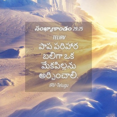 Picture 04 - సంఖ్యాకాండం 29:25 TELIRV - పాప పరిహార బలిగా - Bible Verse Picture