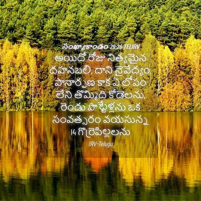 Picture 04 - సంఖ్యాకాండం 29:26 TELIRV - అయిదో రోజు - Bible Verse Picture