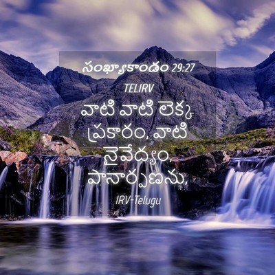 Picture 04 - సంఖ్యాకాండం 29:27 TELIRV - వాటి వాటి లెక్క - Bible Verse Picture