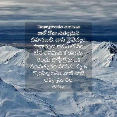 Picture 04 - సంఖ్యాకాండం 29:29 TELIRV - ఆరో రోజు నిత్యమైన - Bible Verse Picture
