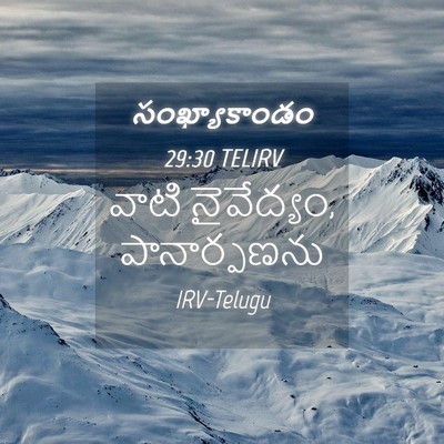 Picture 04 - సంఖ్యాకాండం 29:30 TELIRV - వాటి నైవేద్యం, - Bible Verse Picture