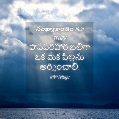 Picture 04 - సంఖ్యాకాండం 29:31 TELIRV - పాపపరిహార బలిగా - Bible Verse Picture